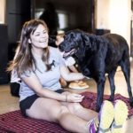 Labrador retriever with cancer