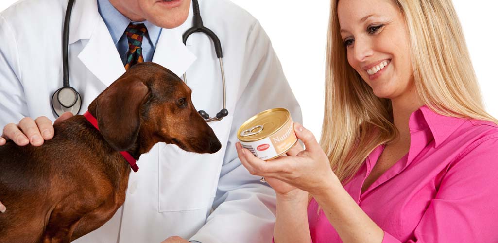 Best food for pregnant Dachshund