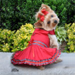 Girl dog names for yorkshire terriers