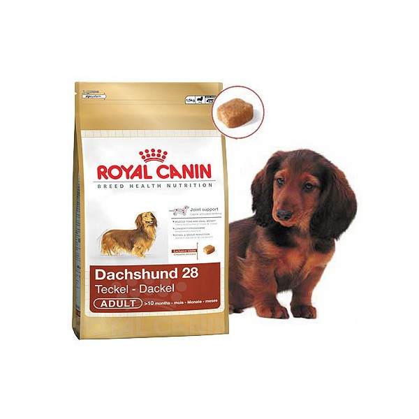 Royal canin dachshund puppy food