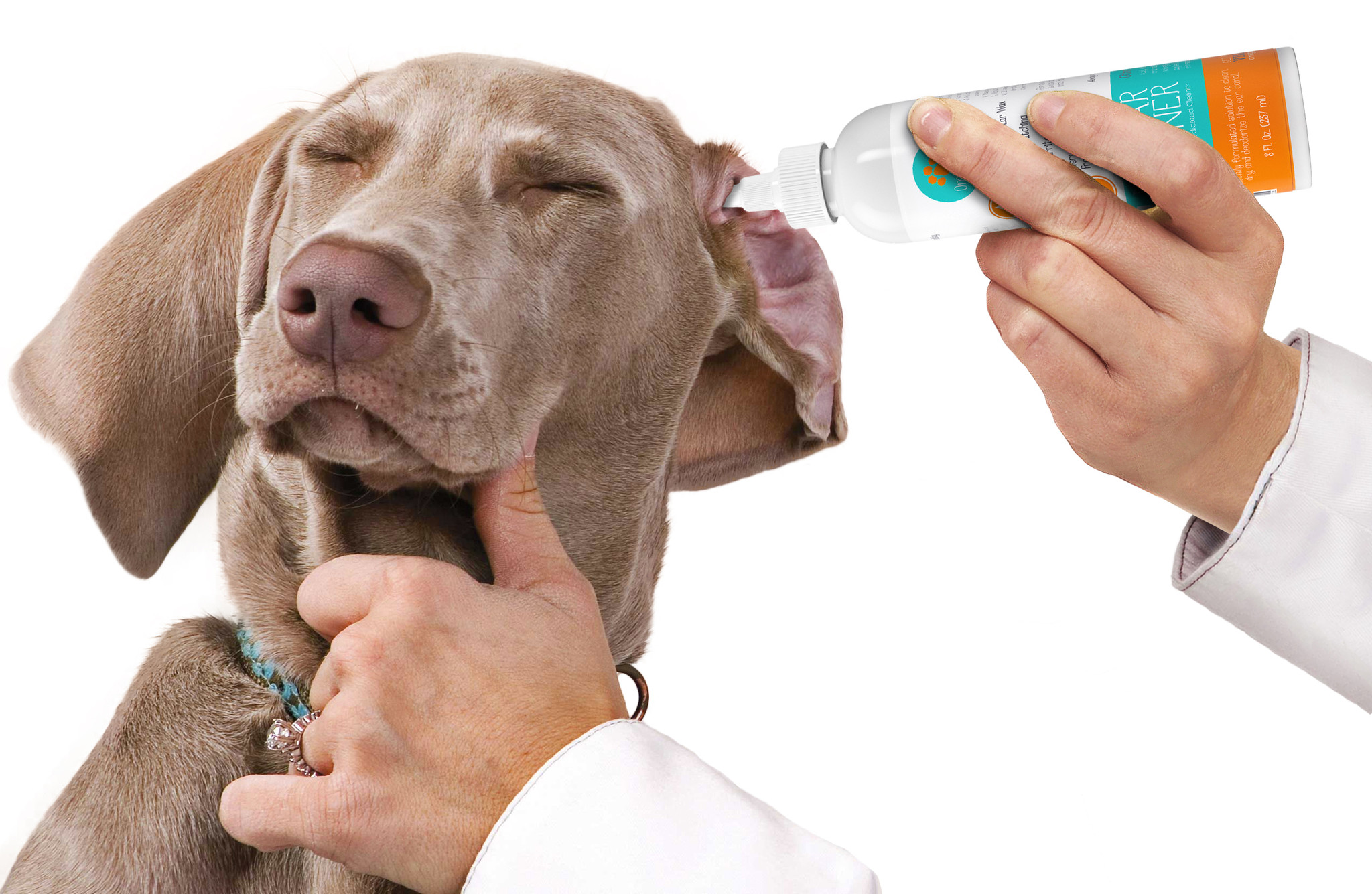 Ear cleaner for dogs