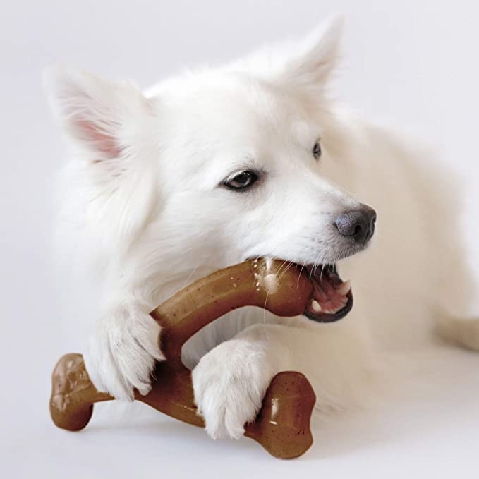 Benebone Wishbone Durable Dog Chew Toy for Aggressive Chewers