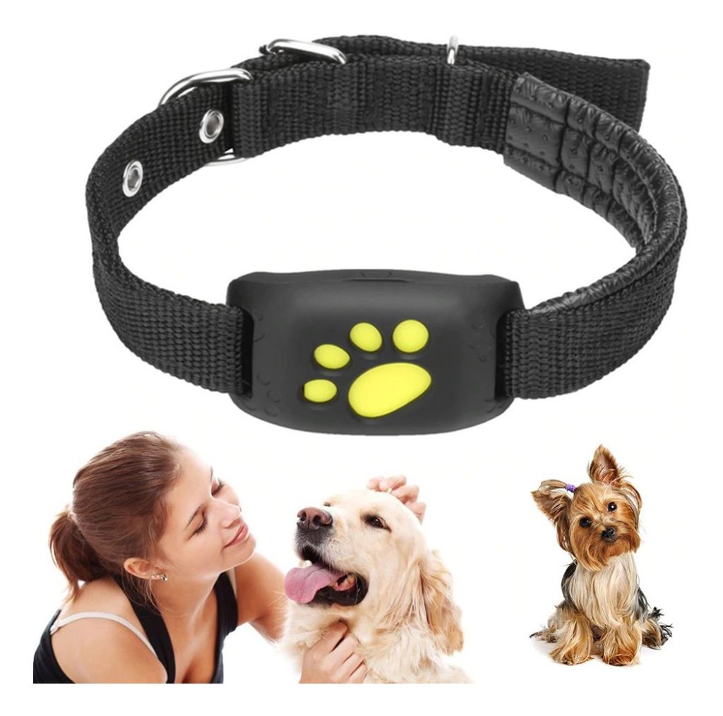 how to choose gps collar for dog
