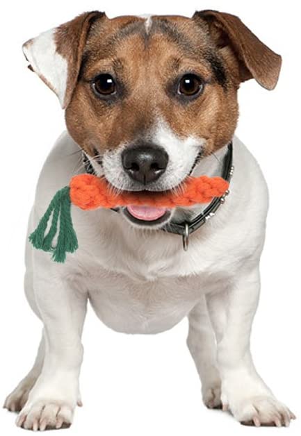 Vivifying Puppy Chew Toys Carrot for small dogs