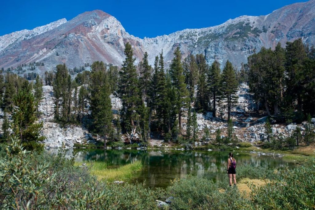 Mammoth Lakes, California