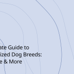 The Ultimate Guide to Medium-Sized Dog Breeds: Traits, Care & More