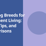 Best Dog Breeds for Apartment Living: Traits, Tips, and Comparisons