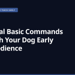 Essential Basic Commands to Teach Your Dog Early for Obedience
